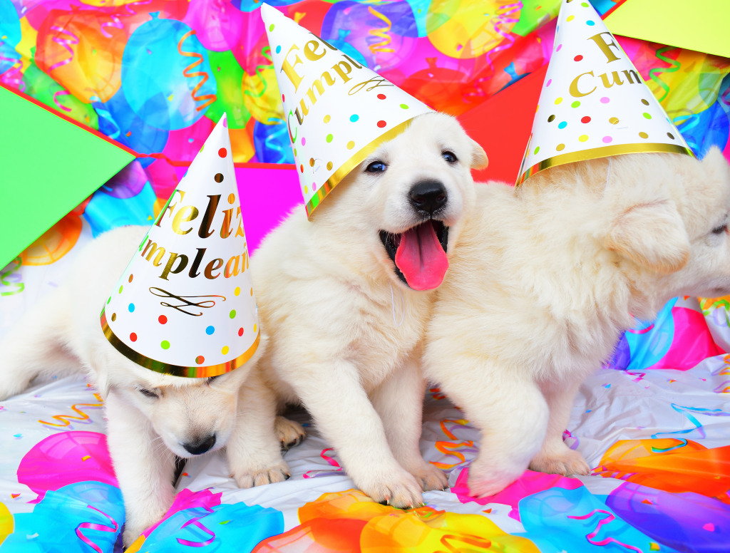 Party Puppies jigsaw puzzle in Puzzle of the Day puzzles on TheJigsawPuzzles.com