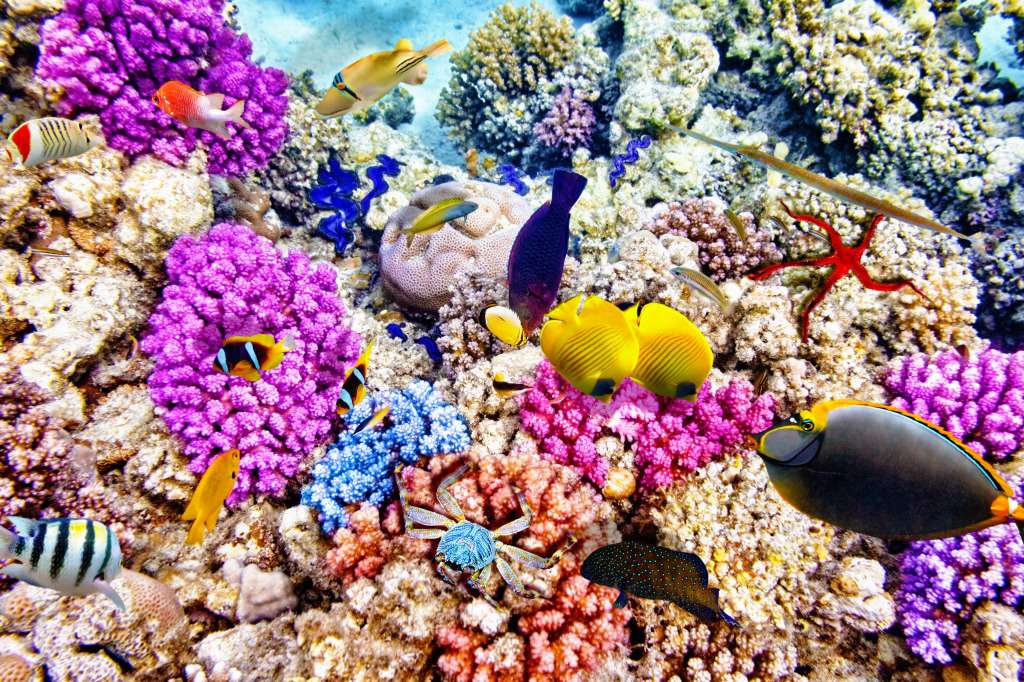 Wonderful Underwater World jigsaw puzzle in Under the Sea puzzles on TheJigsawPuzzles.com