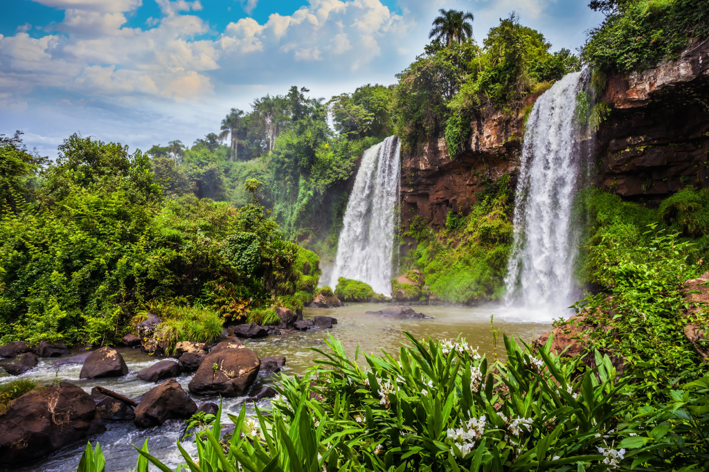 Iguazu Falls, Argentina jigsaw puzzle in Waterfalls puzzles on TheJigsawPuzzles.com