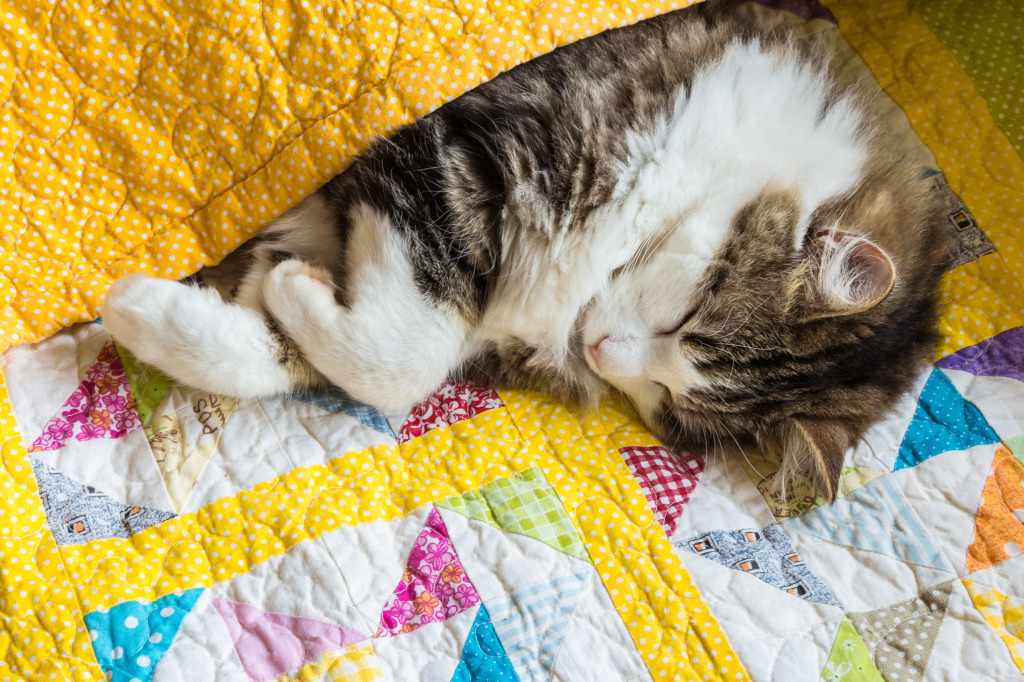 Tabby Cat Wrapped up in Quilt Cover jigsaw puzzle in Handmade puzzles on TheJigsawPuzzles.com