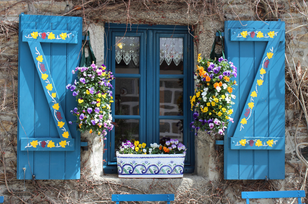 Flowering Viola on a Window jigsaw puzzle in Flowers puzzles on TheJigsawPuzzles.com