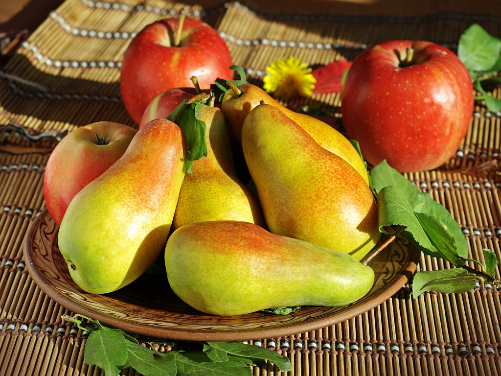 Still Life of Pears and Apples jigsaw puzzle in Fruits & Veggies puzzles on TheJigsawPuzzles.com