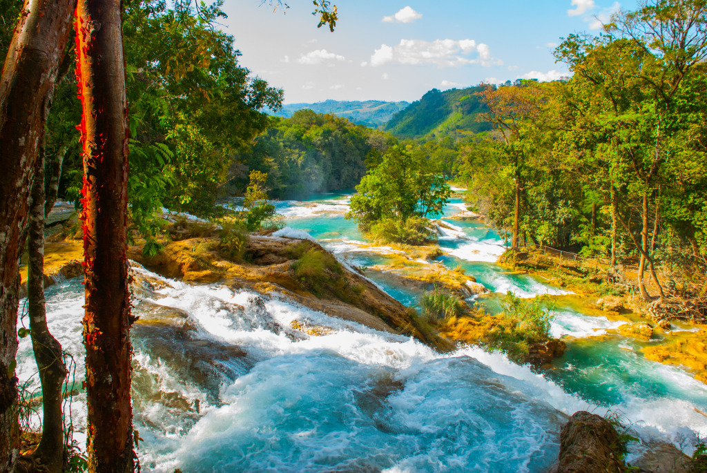 Agua Azul, Chiapas, Mexico jigsaw puzzle in Waterfalls puzzles on TheJigsawPuzzles.com