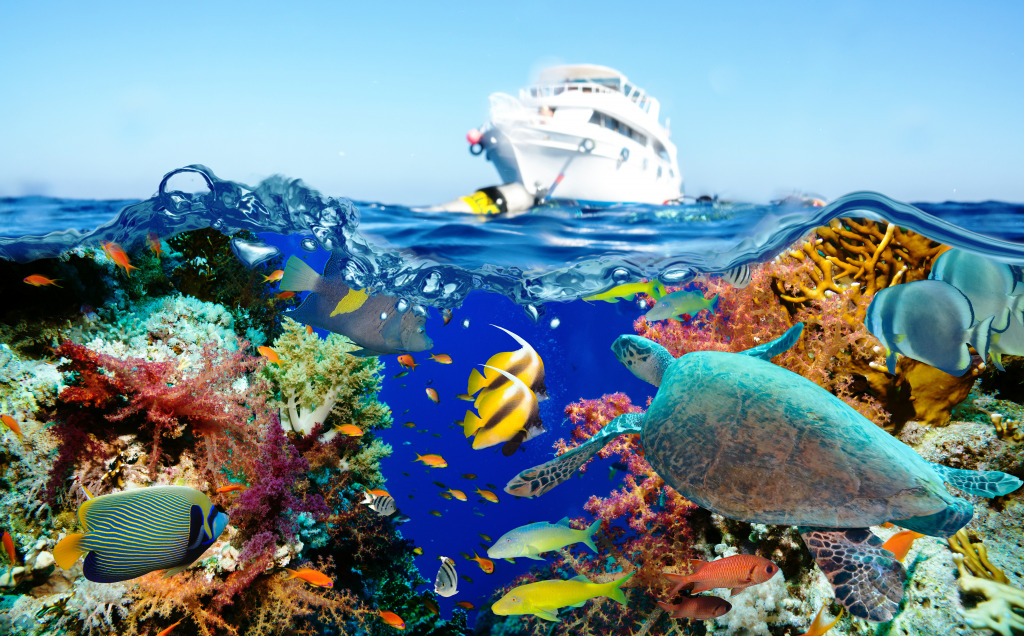 Offshore Rocky Reef jigsaw puzzle in Under the Sea puzzles on TheJigsawPuzzles.com