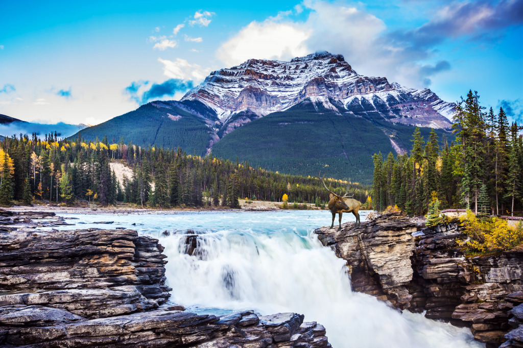 Athabasca Falls, Jasper NP, Canada jigsaw puzzle in Waterfalls puzzles on TheJigsawPuzzles.com