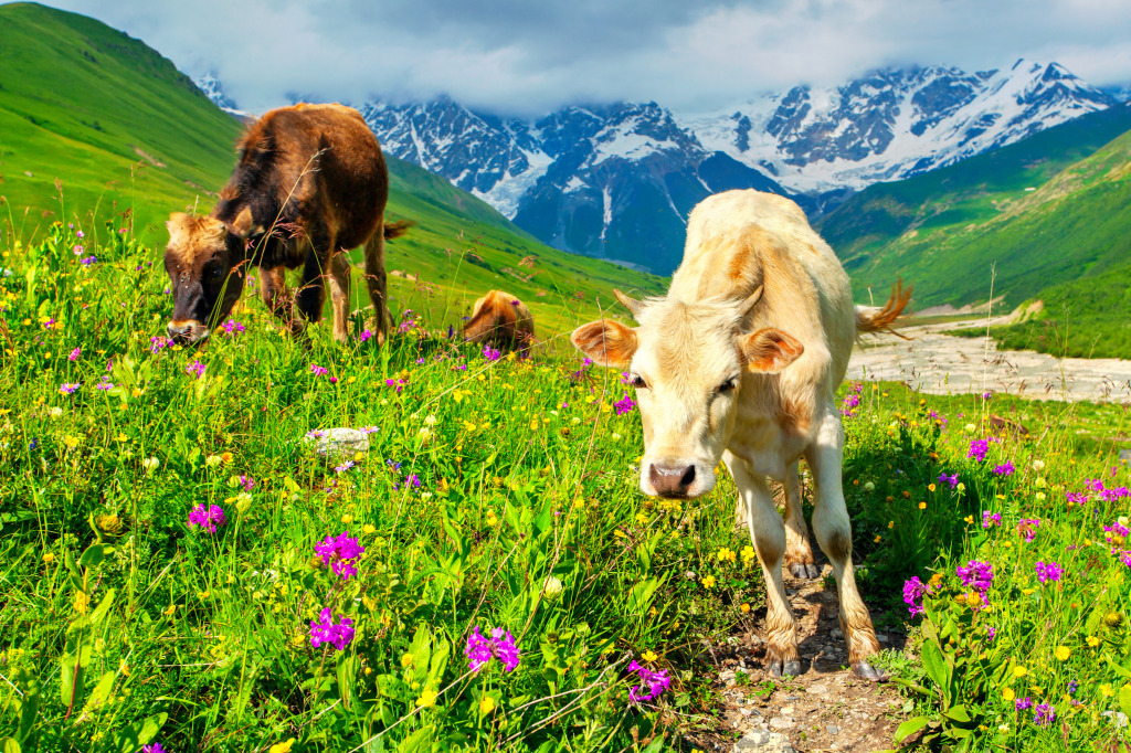 Cattle on a Mountain Pasture jigsaw puzzle in Animals puzzles on TheJigsawPuzzles.com