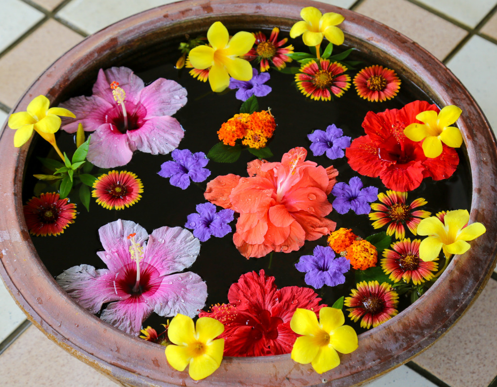 Flowerpot jigsaw puzzle in Flowers puzzles on TheJigsawPuzzles.com