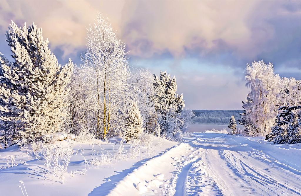 Winter Countryside Landscape jigsaw puzzle in Great Sightings puzzles on TheJigsawPuzzles.com