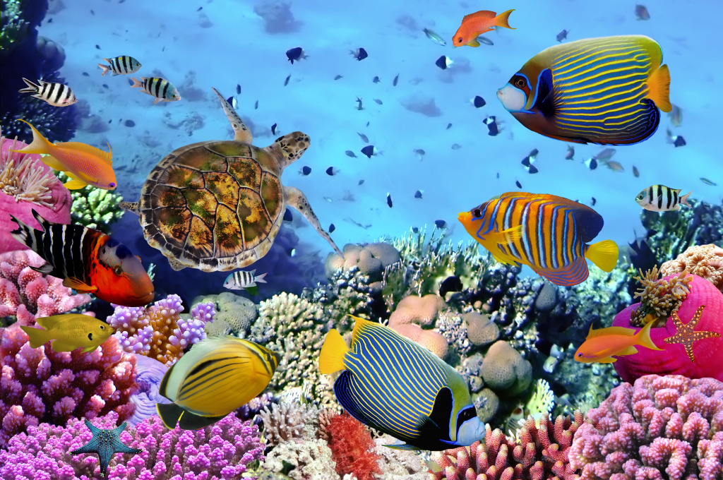 Coral Reef with fishes and Sea Turtle jigsaw puzzle in Under the Sea puzzles on TheJigsawPuzzles.com