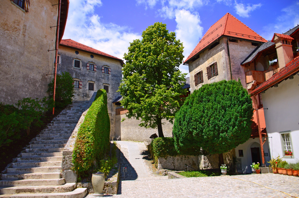 Bled Castle Courtyard, Slovenia jigsaw puzzle in Castles puzzles on TheJigsawPuzzles.com