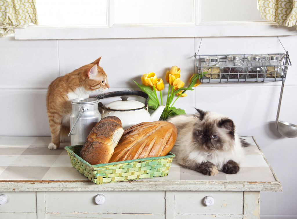 Two Cats in the Kitchen jigsaw puzzle in Puzzle of the Day puzzles on TheJigsawPuzzles.com