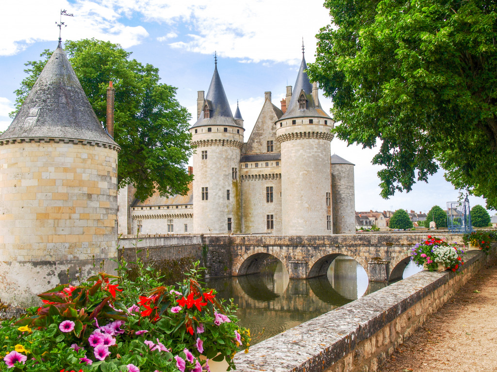 Château de Sully-sur-Loire, France jigsaw puzzle in Castles puzzles on TheJigsawPuzzles.com