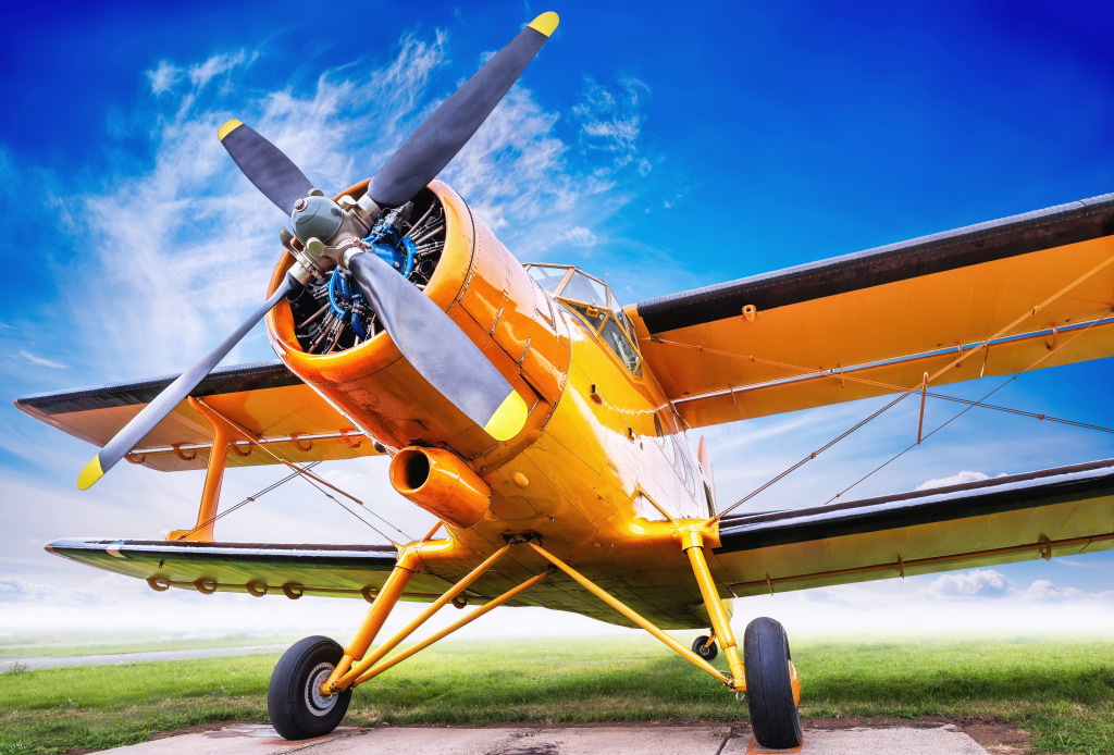 Biplane jigsaw puzzle in Aviation puzzles on TheJigsawPuzzles.com