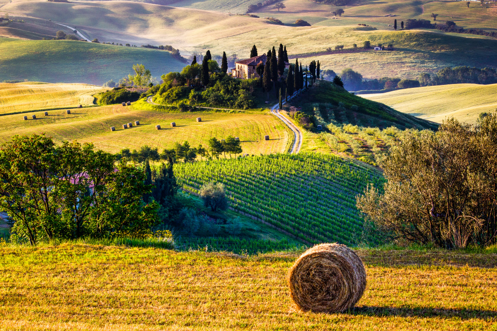 Tuscany, Italian Countryside jigsaw puzzle in Great Sightings puzzles on TheJigsawPuzzles.com