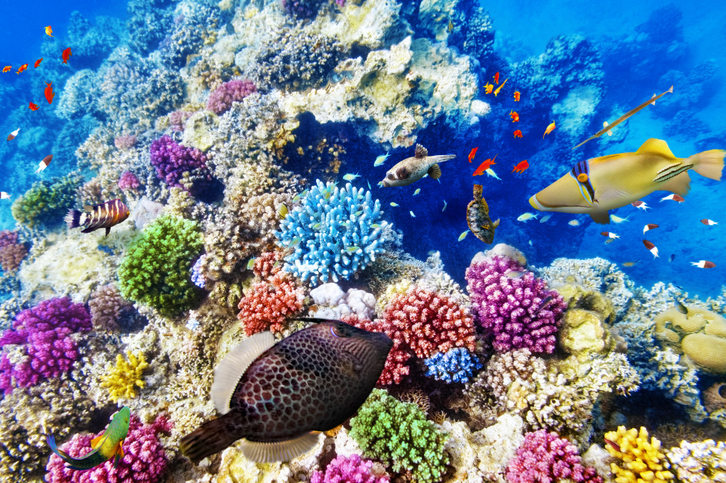 Wonderful Underwater World jigsaw puzzle in Under the Sea puzzles on TheJigsawPuzzles.com