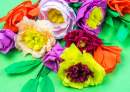 Crepe Paper Flowers