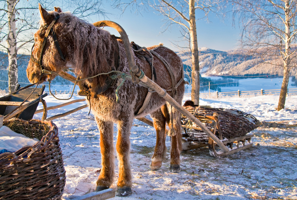 One Horse Open Sleigh jigsaw puzzle in Puzzle of the Day puzzles on TheJigsawPuzzles.com