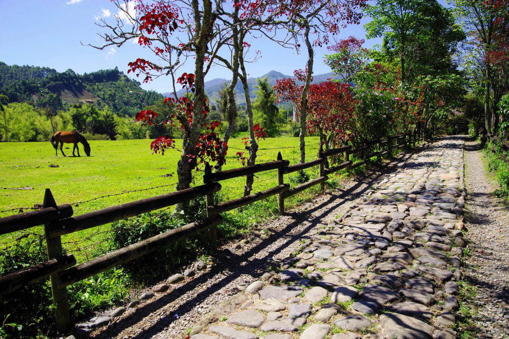 Andes Mountains, Antioquia, Colombia jigsaw puzzle in Great Sightings puzzles on TheJigsawPuzzles.com