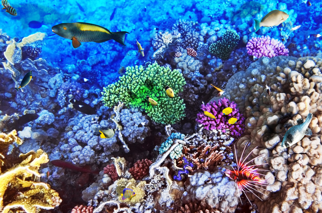 Corals and Tropical Fish jigsaw puzzle in Under the Sea puzzles on TheJigsawPuzzles.com