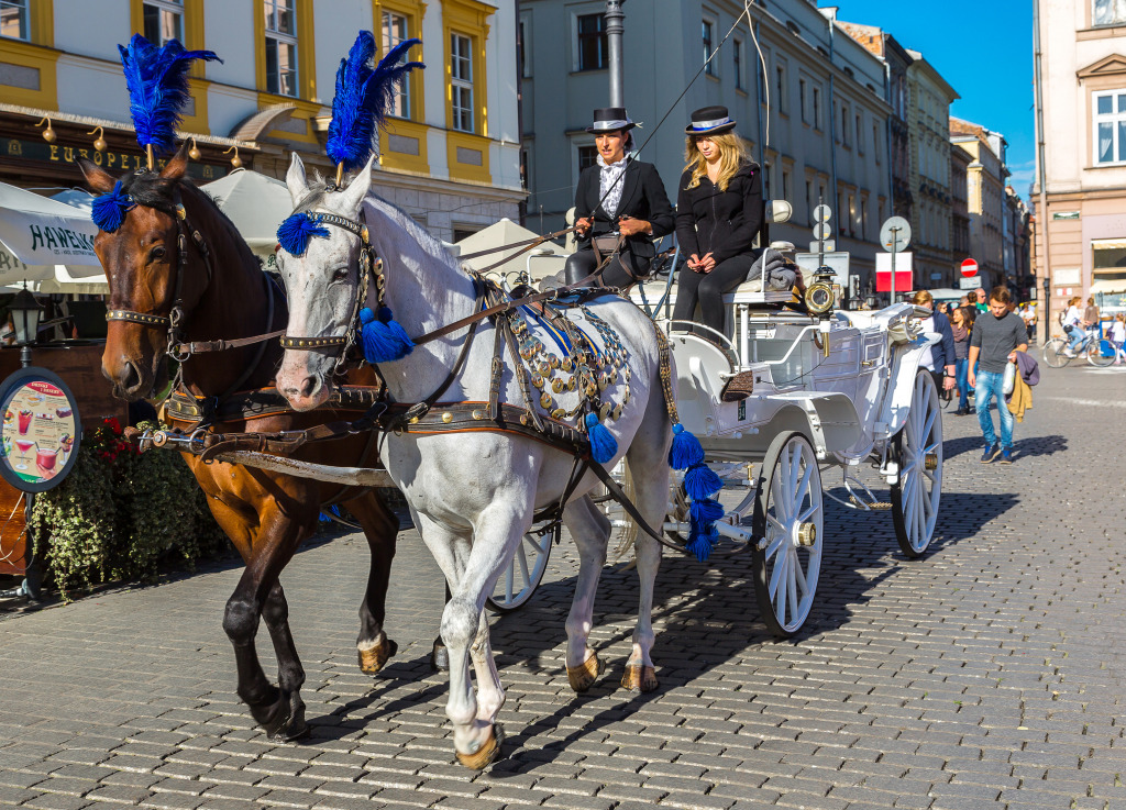 Horse Carriages in Krakow, Poland jigsaw puzzle in Animals puzzles on TheJigsawPuzzles.com