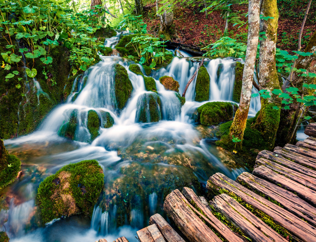 Plitvice Lakes National Park, Croatia jigsaw puzzle in Waterfalls puzzles on TheJigsawPuzzles.com