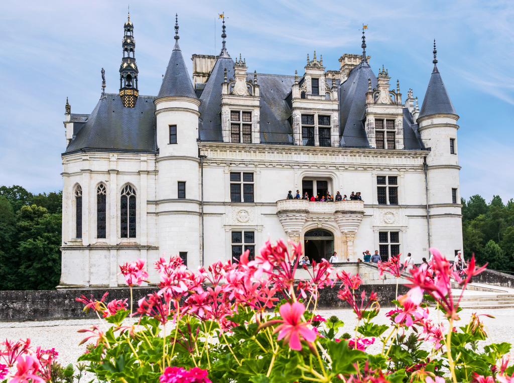 Château de Chenonceau, Loire Valley, France jigsaw puzzle in Castles puzzles on TheJigsawPuzzles.com