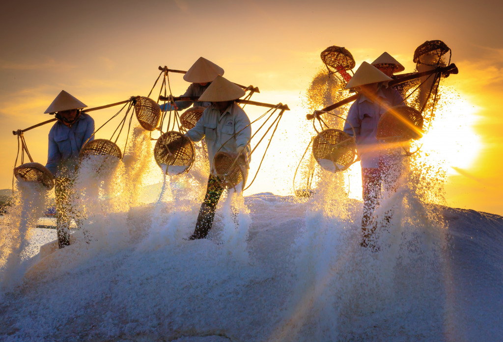 Salt Field at dawn, Hon Khoi, Vietnam jigsaw puzzle in People puzzles on TheJigsawPuzzles.com