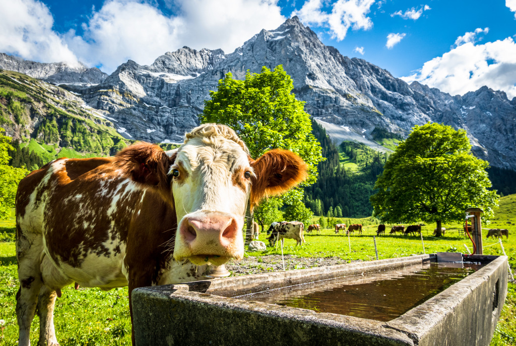 Eng Alm, Austrian Alps jigsaw puzzle in Animals puzzles on TheJigsawPuzzles.com