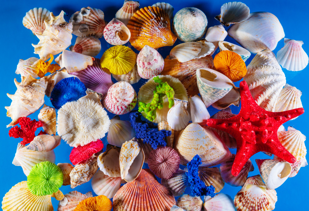 Seashells jigsaw puzzle in Under the Sea puzzles on TheJigsawPuzzles.com