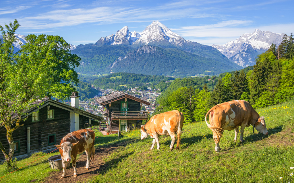 Bavarian Alps, Germany jigsaw puzzle in Puzzle of the Day puzzles on TheJigsawPuzzles.com