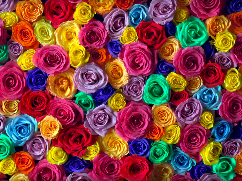 Carpet of Roses jigsaw puzzle in Flowers puzzles on TheJigsawPuzzles.com