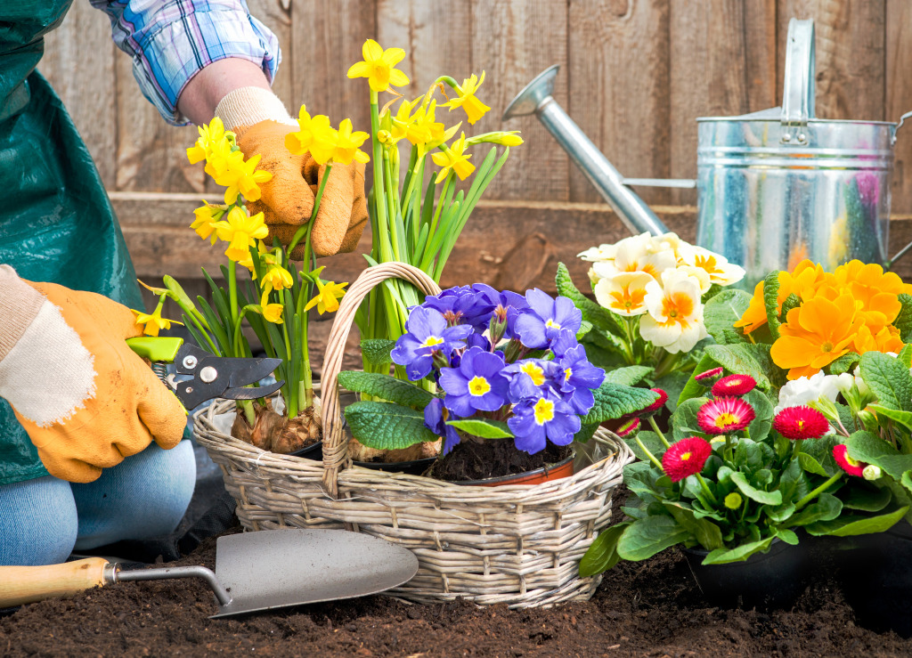 Planting Flowers jigsaw puzzle in Puzzle of the Day puzzles on TheJigsawPuzzles.com