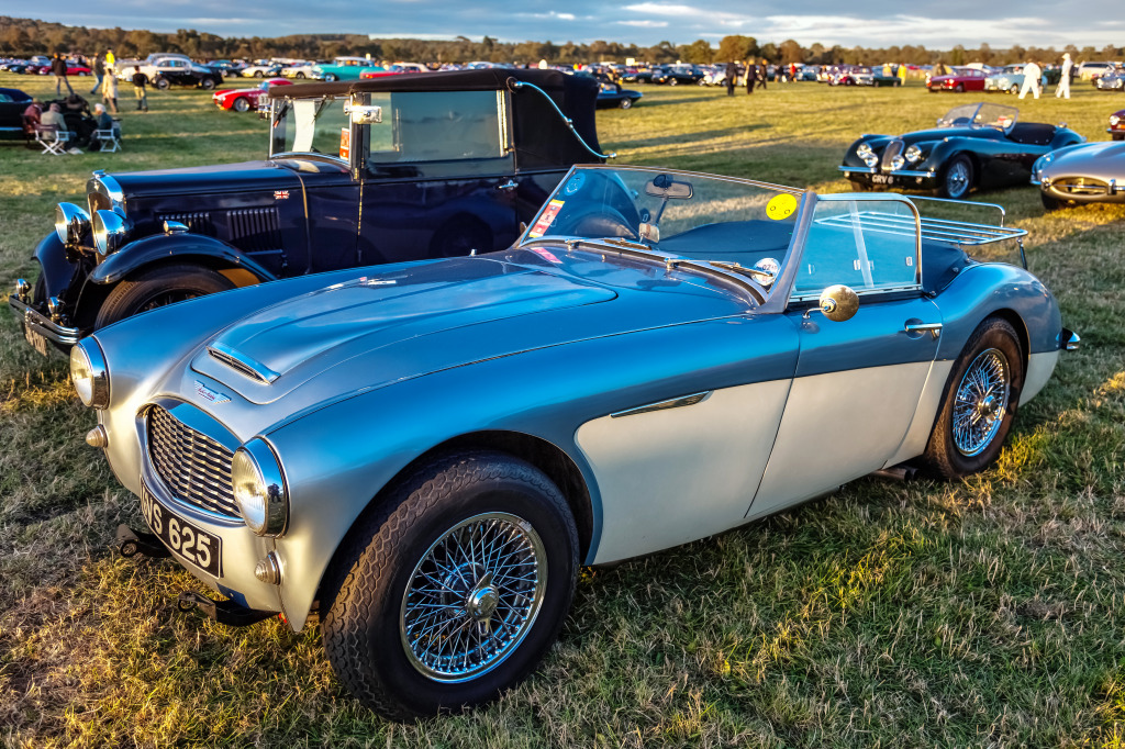 Austin Healey, Goodwood, UK jigsaw puzzle in Cars & Bikes puzzles on TheJigsawPuzzles.com