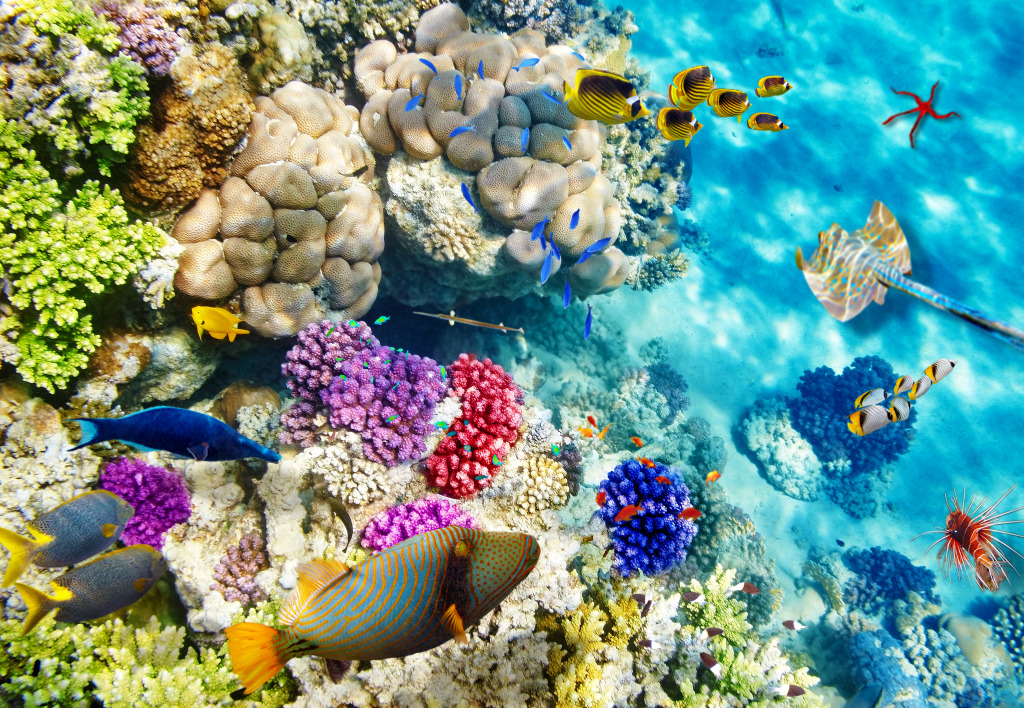 Wonderful Underwater World jigsaw puzzle in Under the Sea puzzles on TheJigsawPuzzles.com