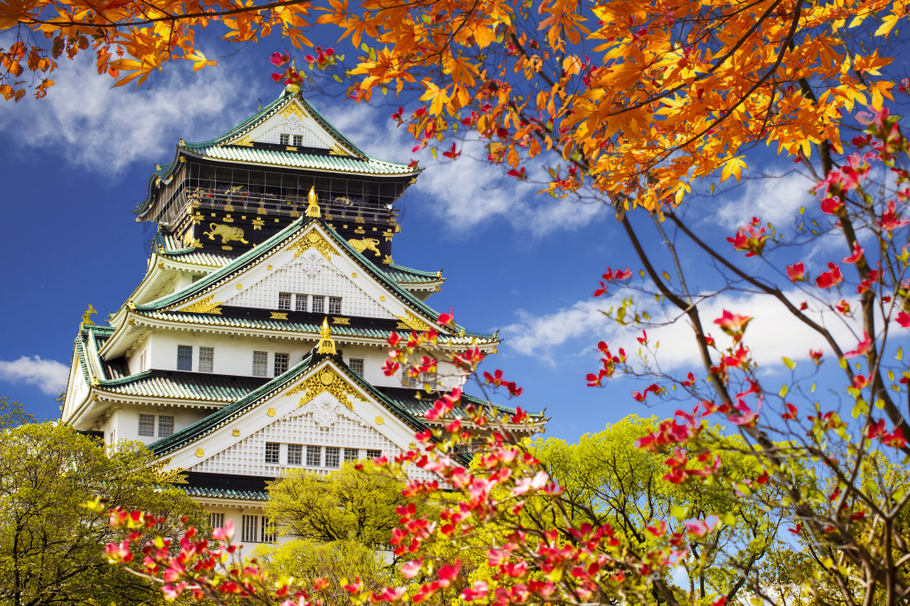 Osaka Castle, Japan jigsaw puzzle in Castles puzzles on TheJigsawPuzzles.com