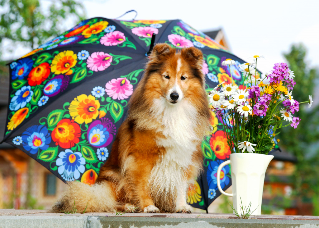 Shetland Sheepdog jigsaw puzzle in Animals puzzles on TheJigsawPuzzles.com