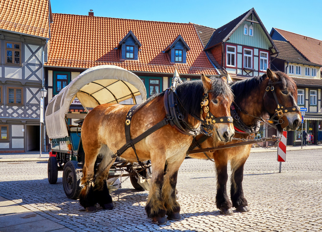 Carriage in the Old Town of Wernigerode, Germany jigsaw puzzle in Animals puzzles on TheJigsawPuzzles.com