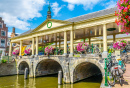 Koornbrug Bridge, Leiden, Netherlands