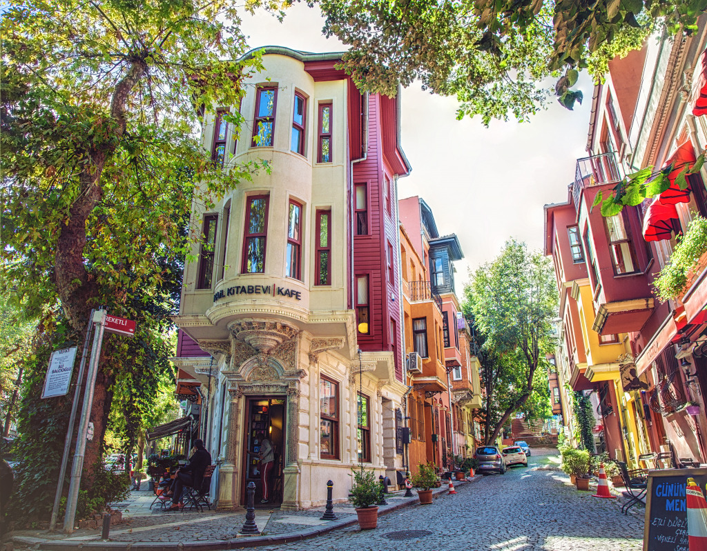 Traditional Houses, Istanbul, Turkey jigsaw puzzle in Street View puzzles on TheJigsawPuzzles.com