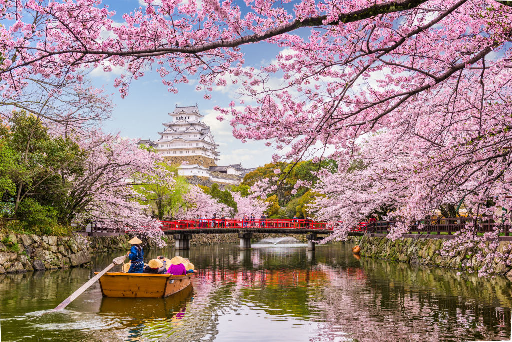 Himeji Castle in Spring Season, Japan jigsaw puzzle in Bridges puzzles on TheJigsawPuzzles.com