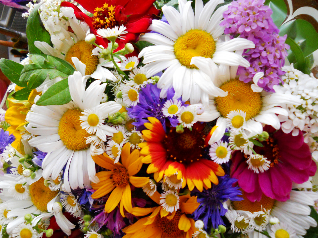 Bouquet of Summer Flowers jigsaw puzzle in Flowers puzzles on TheJigsawPuzzles.com