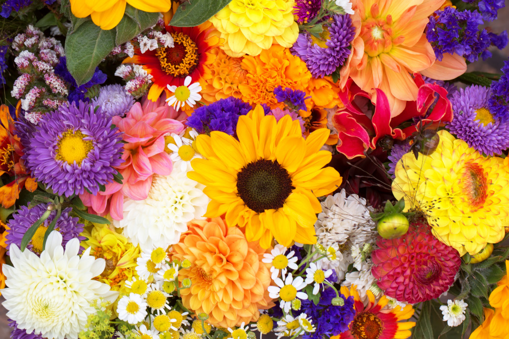 Autumn Flowers in the Farmers Market jigsaw puzzle in Flowers puzzles on TheJigsawPuzzles.com