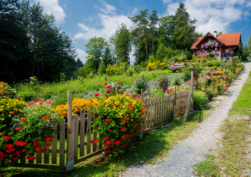 House with a Garden jigsaw puzzle in Flowers puzzles on TheJigsawPuzzles.com