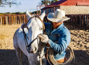 Cattle Ranch in Weatherford, Texas