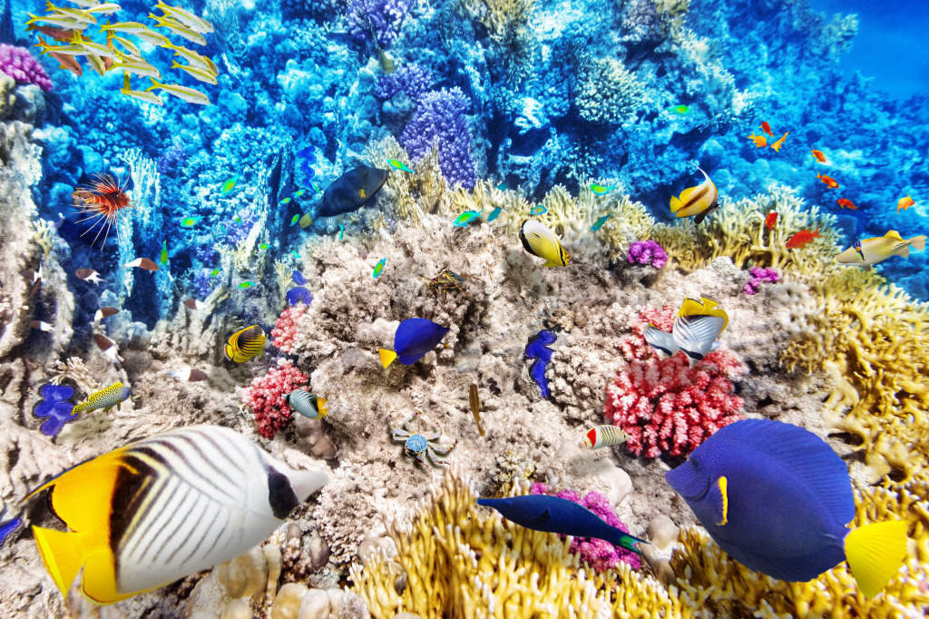 Wonderful Underwater World jigsaw puzzle in Under the Sea puzzles on TheJigsawPuzzles.com