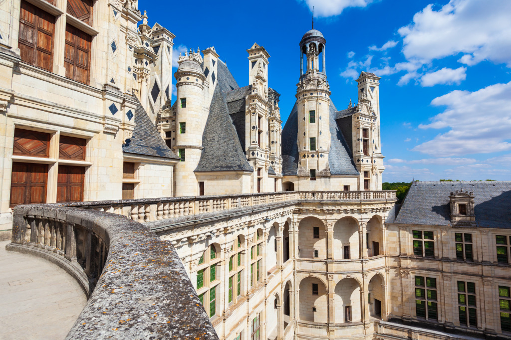 Chateau de Chambord, Loire Valley, France jigsaw puzzle in Castles puzzles on TheJigsawPuzzles.com