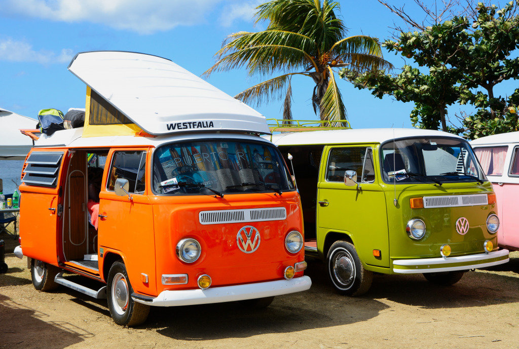 Vintage Volkswagen Vans, Rincon, Puerto Rico jigsaw puzzle in Cars & Bikes puzzles on TheJigsawPuzzles.com