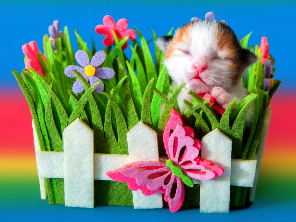 Newborn Kitten in a Felt Basket jigsaw puzzle in Macro puzzles on TheJigsawPuzzles.com