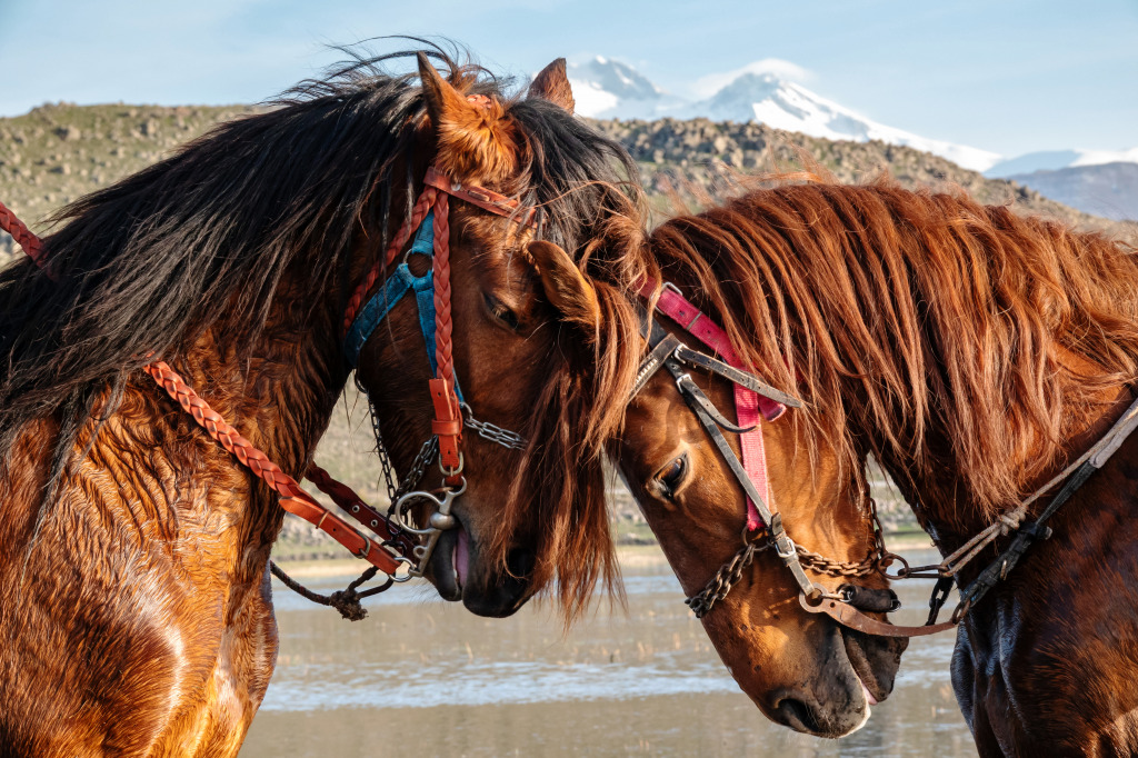 Horses by the Lake jigsaw puzzle in Animals puzzles on TheJigsawPuzzles.com