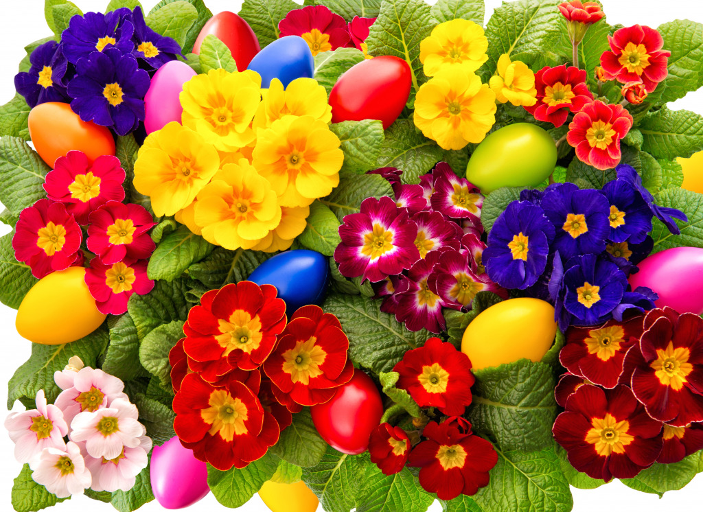Primula Flowers jigsaw puzzle in Flowers puzzles on TheJigsawPuzzles.com